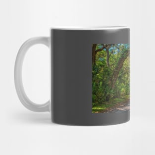 Cumberland Island National Seashore Mug